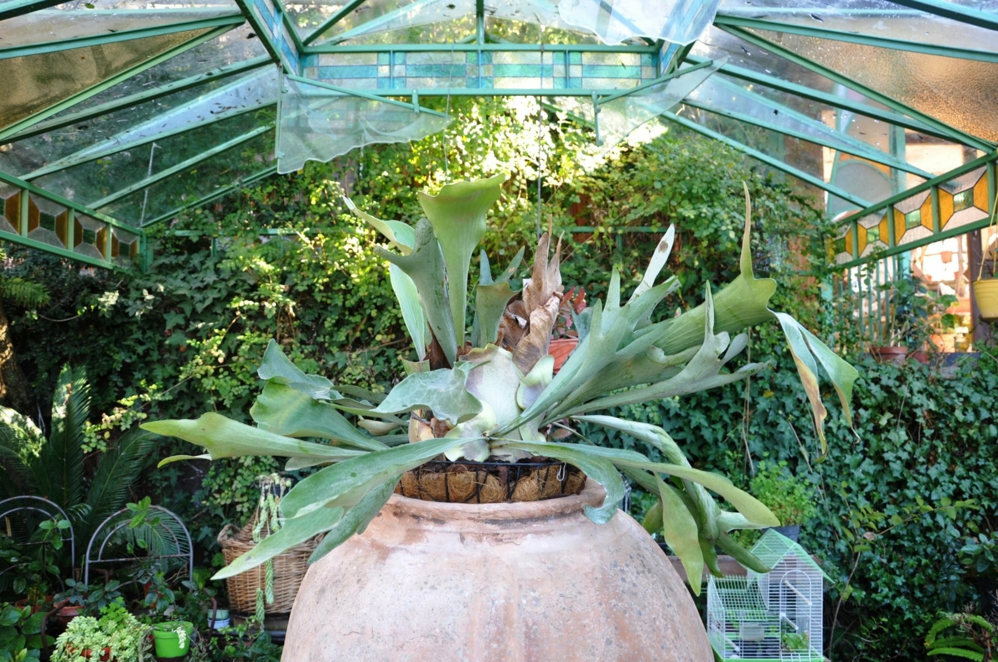 Casa Mazzola Bed and Breakfast Sant'Agnello Buitenkant foto